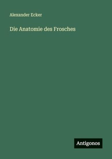 Die Anatomie des Frosches