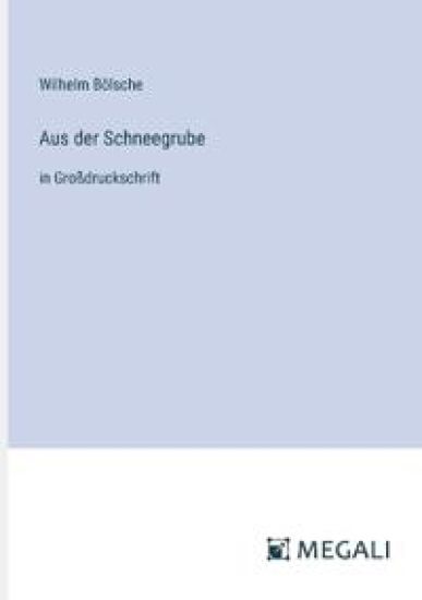 Aus der Schneegrube