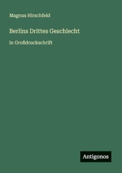 Berlins Drittes Geschlecht: in Großdruckschrift