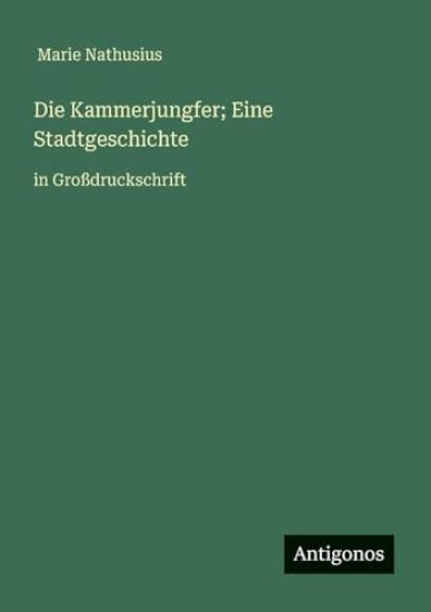 Die Kammerjungfer; Eine Stadtgeschichte: in Großdruckschrift