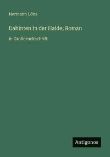 Dahinten in der Haide; Roman