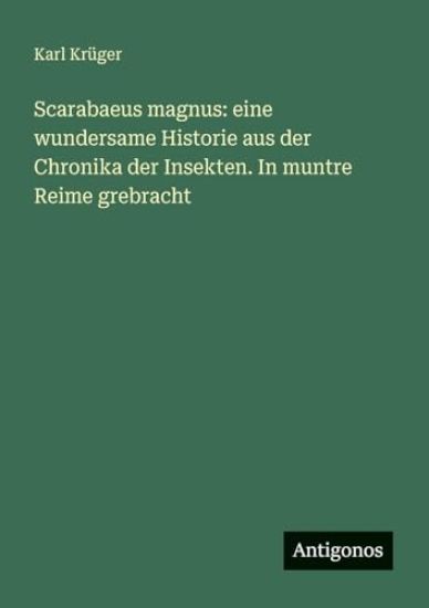 Scarabaeus magnus