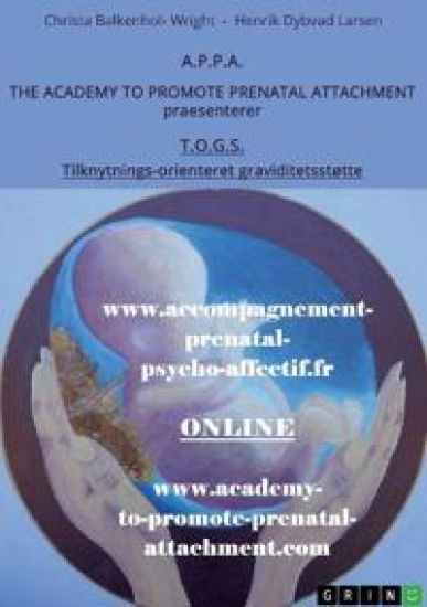 T.O.G.S. (Tilknytnings-orienteret graviditetsstøtte)