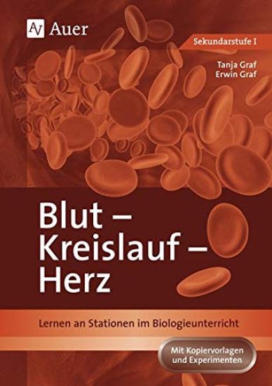 Blut - Kreislauf - Herz