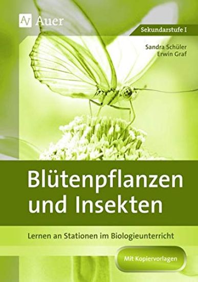 Blütenpflanzen und Insekten