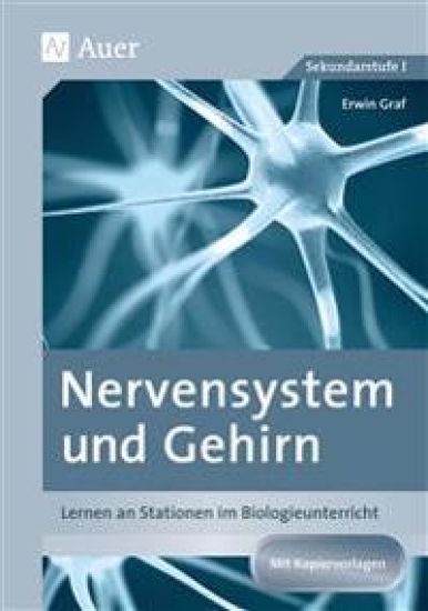 Nervensystem und Gehirn