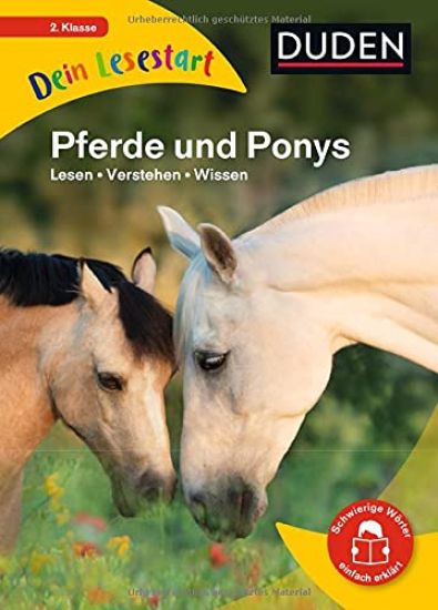 Dein Lesestart - Pferde und Ponys