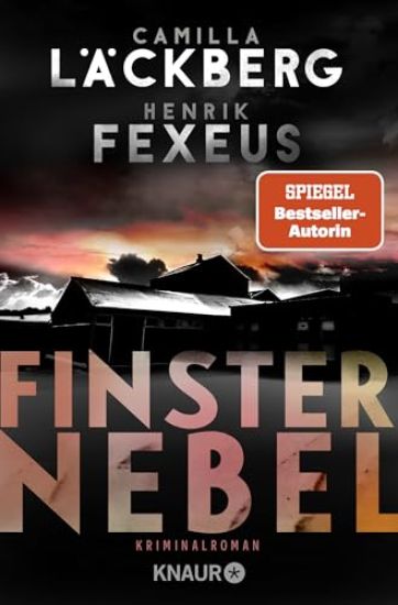 Finsternebel