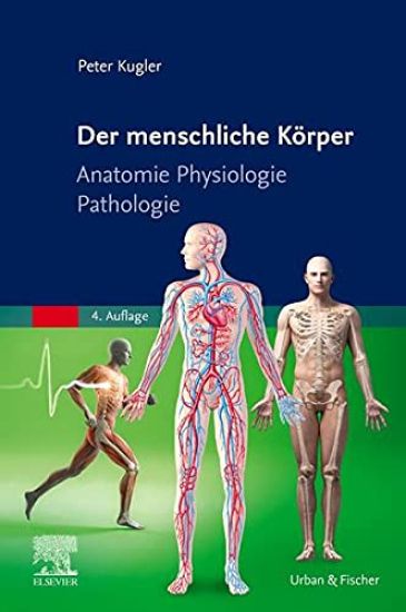 Kugler, P: Der menschliche Körper