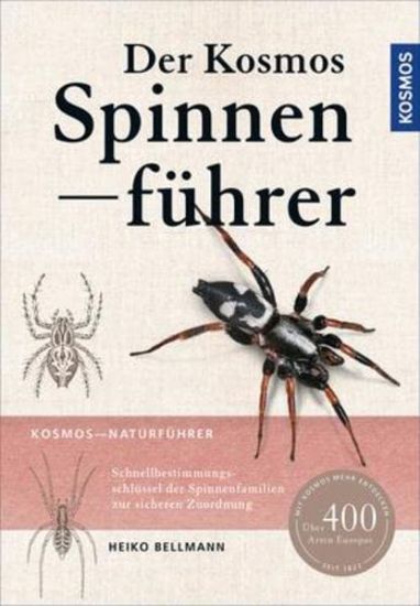 Bellmann, H: Kosmos Spinnenführer