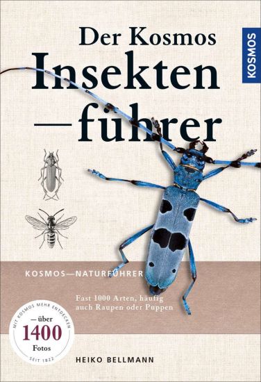 Bellmann, H: KOSMOS Insektenführer