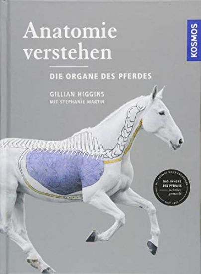 Anatomie verstehen - Die Organe des Pferdes