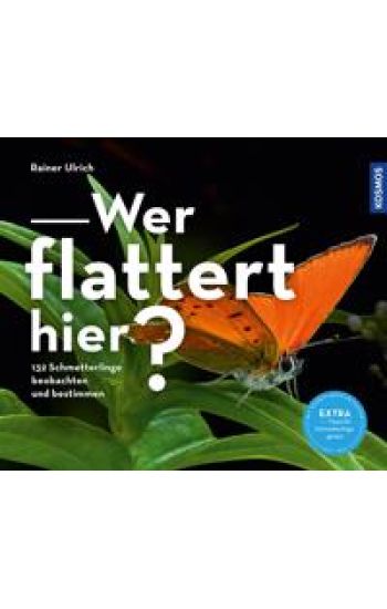 Wer flattert hier