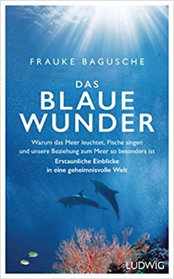 Das blaue Wunder