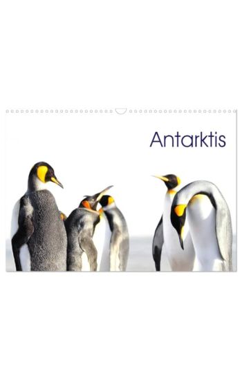 Antarktis - viaje.ch (Wandkalender 2026 DIN A3 quer), CALVENDO Monatskalender