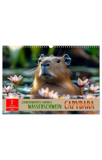 Capybara - liebenswertes großes Wasserschwein (Wandkalender 2026 DIN A3 quer), CALVENDO Monatskalender
