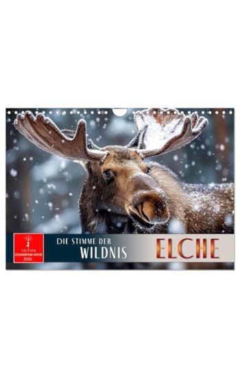 Elche - die Stimme der Wildnis (Wandkalender 2026 DIN A4 quer), CALVENDO Monatskalender