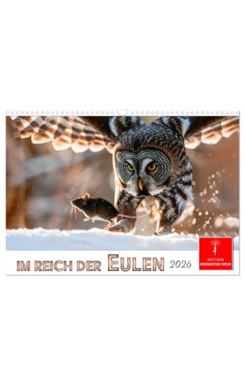 Im Reich der Eulen (Wandkalender 2026 DIN A3 quer), CALVENDO Monatskalender