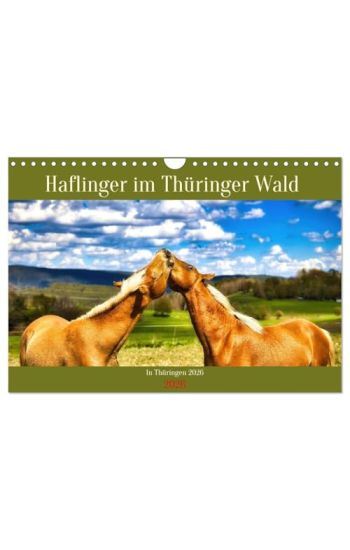 Haflinger im Thüringer Wald (Wandkalender 2026 DIN A4 quer), CALVENDO Monatskalender