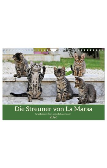 Die Streuner von La Marsa (Wandkalender 2026 DIN A4 quer), CALVENDO Monatskalender