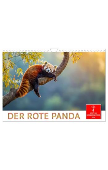 Der Rote Panda (Wandkalender 2026 DIN A4 quer), CALVENDO Monatskalender