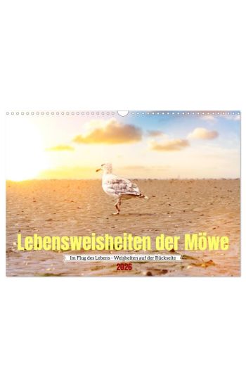 Lebensweisheiten der Möwe - Im Flug des Lebens (Wandkalender 2026 DIN A3 quer), CALVENDO Monatskalender