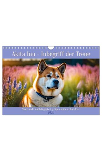 Akita Inu - Inbegriff der Treue (Wandkalender 2026 DIN A4 quer), CALVENDO Monatskalender