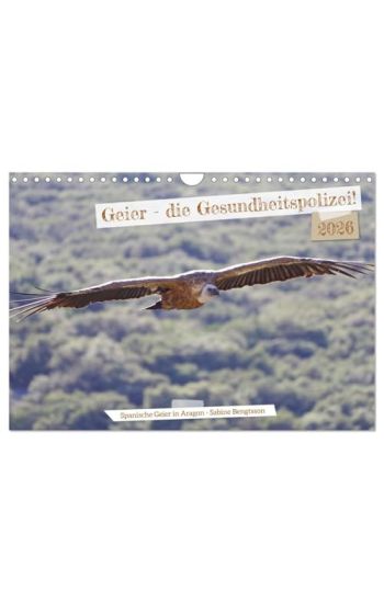 Geier - die Gesundheitspolizei! (Wandkalender 2026 DIN A4 quer), CALVENDO Monatskalender