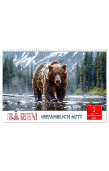 Bären - gefährlich nett (Wandkalender 2026 DIN A3 quer), CALVENDO Monatskalender