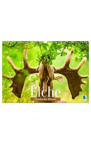 Elche: Nordische Riesen (Wandkalender 2026 DIN A3 quer), CALVENDO Monatskalender