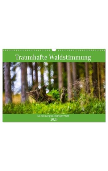 Traumhafte Waldstimmung am Rennsteig im Thüringer Wald (Wandkalender 2026 DIN A3 quer), CALVENDO Monatskalender
