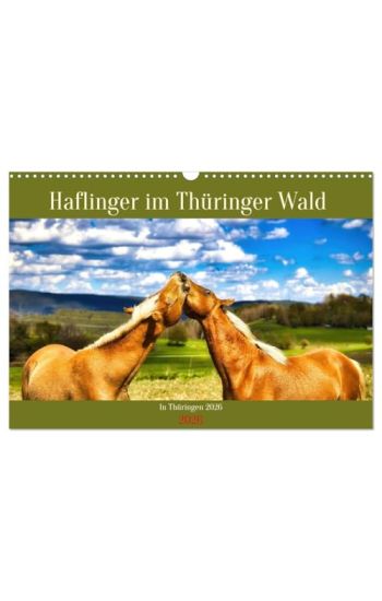 Haflinger im Thüringer Wald (Wandkalender 2026 DIN A3 quer), CALVENDO Monatskalender