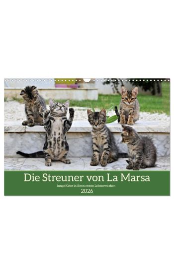 Die Streuner von La Marsa (Wandkalender 2026 DIN A3 quer), CALVENDO Monatskalender
