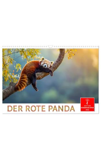 Der Rote Panda (Wandkalender 2026 DIN A3 quer), CALVENDO Monatskalender