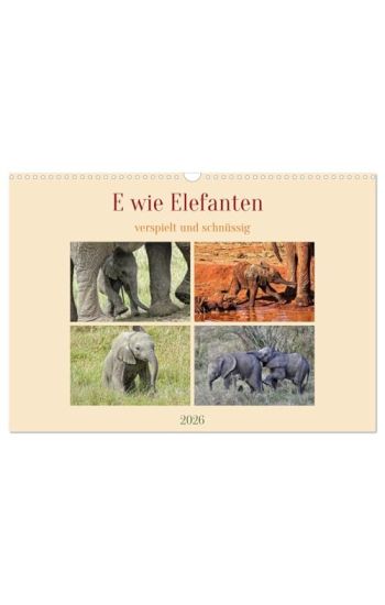 E wie Elefanten - verspielt und schnüssig (Wandkalender 2026 DIN A3 quer), CALVENDO Monatskalender