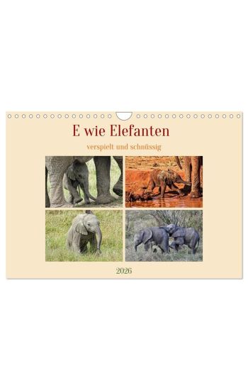 E wie Elefanten - verspielt und schnüssig (Wandkalender 2026 DIN A4 quer), CALVENDO Monatskalender