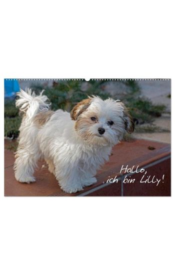 Hallo, ich bin Lilly (Wandkalender 2026 DIN A2 quer), CALVENDO Monatskalender
