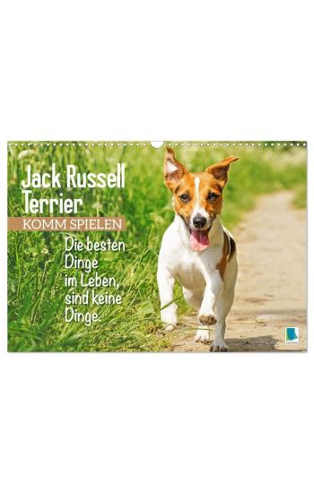 Jack Russell Terrier: Komm spielen (Wandkalender 2026 DIN A3 quer), CALVENDO Monatskalender