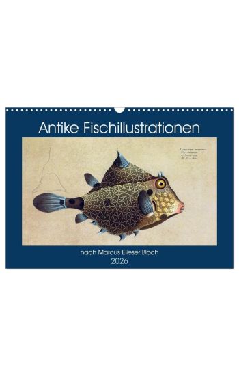 Antike Fischillustrationen nach Marcus Elieser Bloch (Wandkalender 2026 DIN A3 quer), CALVENDO Monatskalender