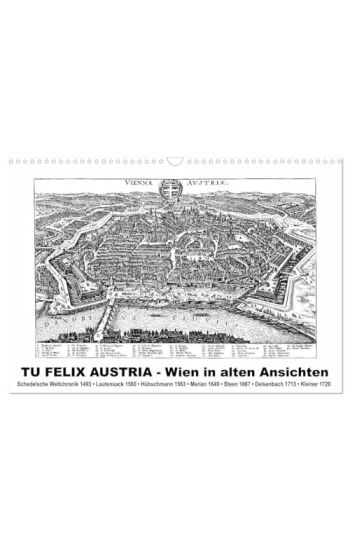 TU FELIX AUSTRIA - Wien in alten Ansichten (Wandkalender 2026 DIN A3 quer), CALVENDO Monatskalender