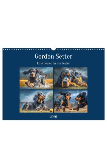 Gordon Setter. Edle Seelen in der Natur (Wandkalender 2026 DIN A3 quer), CALVENDO Monatskalender