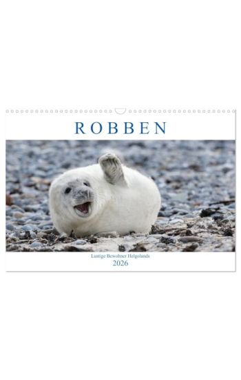Robben - Lustige Bewohner Helgolands (Wandkalender 2026 DIN A3 quer), CALVENDO Monatskalender