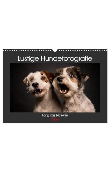 Fang das Leckerlie (Wandkalender 2026 DIN A3 quer), CALVENDO Monatskalender