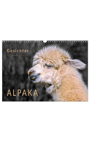 Alpaka Gesichter (Wandkalender 2026 DIN A3 quer), CALVENDO Monatskalender