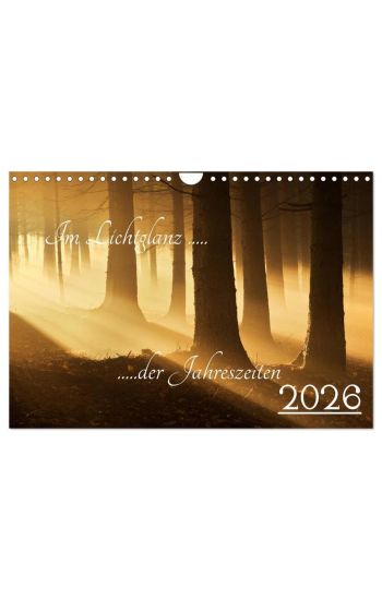 Im Lichtglanz der Jahreszeiten (Wandkalender 2026 DIN A4 quer), CALVENDO Monatskalender