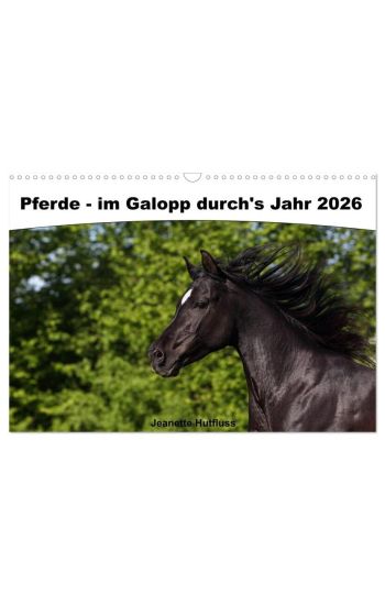 Pferde - im Galopp durch's Jahr 2026 (Wandkalender 2026 DIN A3 quer), CALVENDO Monatskalender