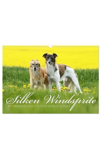 Silken Windsprite - Mit Merlin und Calisto durch´s Jahr 2026 (Wandkalender 2026 DIN A3 quer), CALVENDO Monatskalender