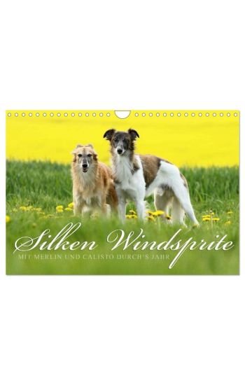Silken Windsprite - Mit Merlin und Calisto durch´s Jahr 2026 (Wandkalender 2026 DIN A4 quer), CALVENDO Monatskalender