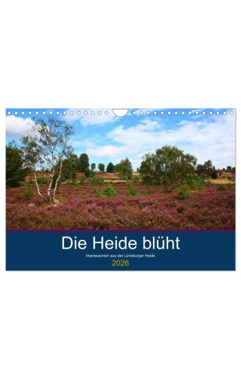 Die Heide blüht (Wandkalender 2026 DIN A4 quer), CALVENDO Monatskalender
