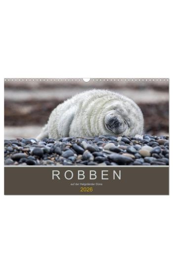 Robben auf der Helgoländer Düne (Wandkalender 2026 DIN A3 quer), CALVENDO Monatskalender